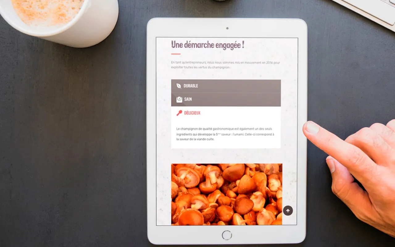 La Révolution Champignon, visuel 2
