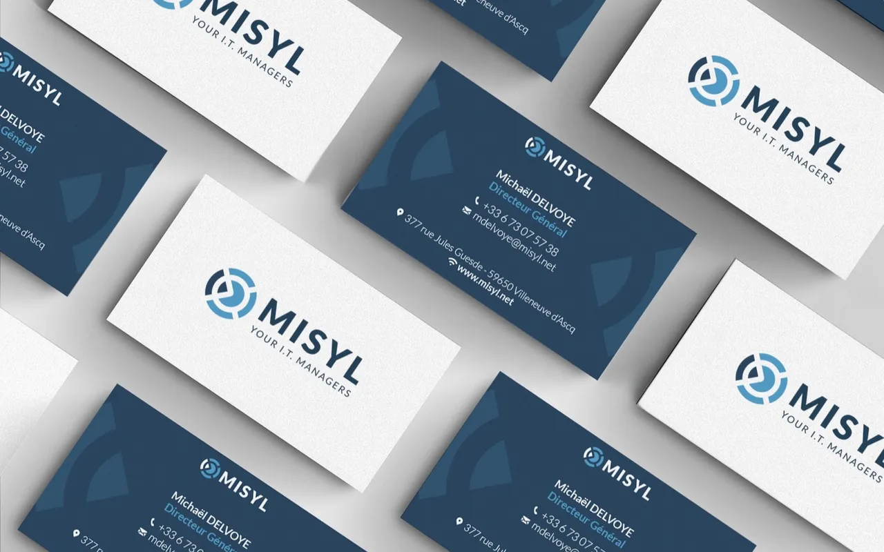 MISYL, visuel 8